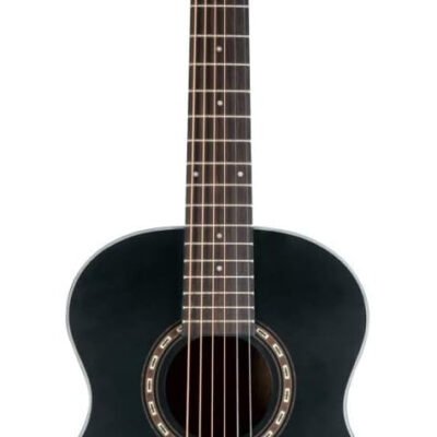 Washburn Apprentice Series 6-String Acoustic Guitar
