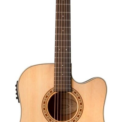 Washburn 6 String Acoustic Electric Guitar Bronze