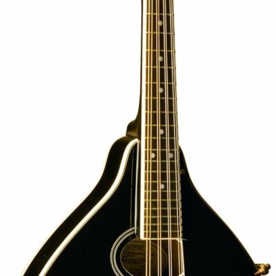 Washburn Americana M1SD