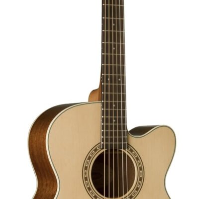 Washburn Harvest Series WG7SCE