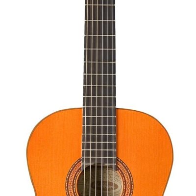 Washburn Classical Acoustic Guita