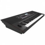 Roland E-X50 61-Keys Arranger Keyboard3