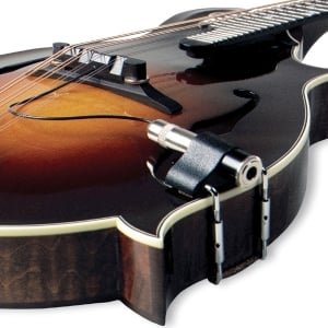 Fishman M-1002