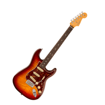 Fender 70th Anniversary American Professional II Stratocaster® (2)