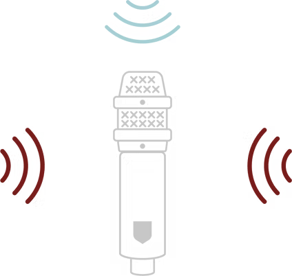 Lauten Audio LS-208 Cardioid Condenser Microphone (3)