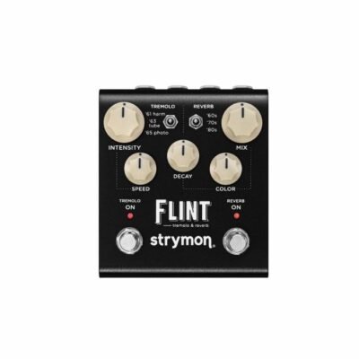 Strymon Flint Tremolo and Reverb Pedal V2 (3)