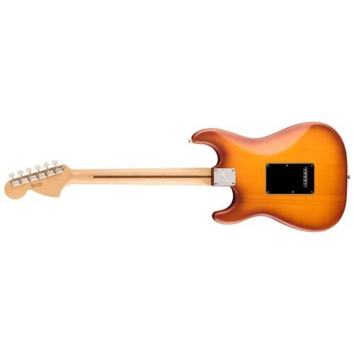 0171030742-3.jpg Fender Limited Edition American Performer Timber Stratocaster Electric Guitar 0171030742 - Honey Burst