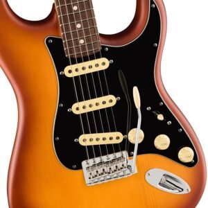 0171030742-6.jpg Fender Limited Edition American Performer Timber Stratocaster Electric Guitar 0171030742 - Honey Burst