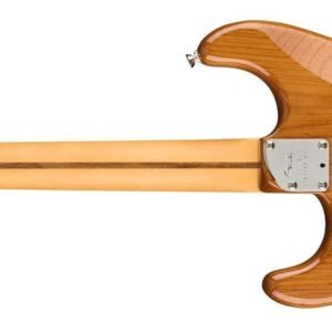 113902763-2-1.jpg Fender Electric Guitar AM Pro II Strat Maple Roasted Pine 113902763