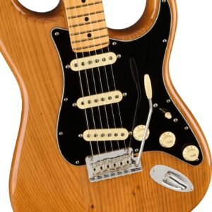 113902763-3.jpg Fender Electric Guitar AM Pro II Strat Maple Roasted Pine 113902763