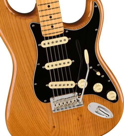 113902763-3.jpg Fender Electric Guitar AM Pro II Strat Maple Roasted Pine 113902763