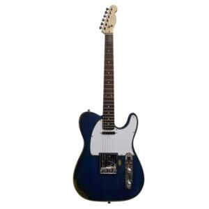 21TDbq4klxL.jpg NEWEN Relic Telecaster Style Electric Guitar Made in Argentina, White Oak Wood, (Blue)
