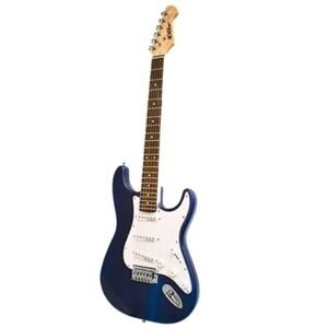 31ny6OobAXS-1.jpg Newen Stratocaster Style Electric Guitar Made In Argentina, Blue Wood