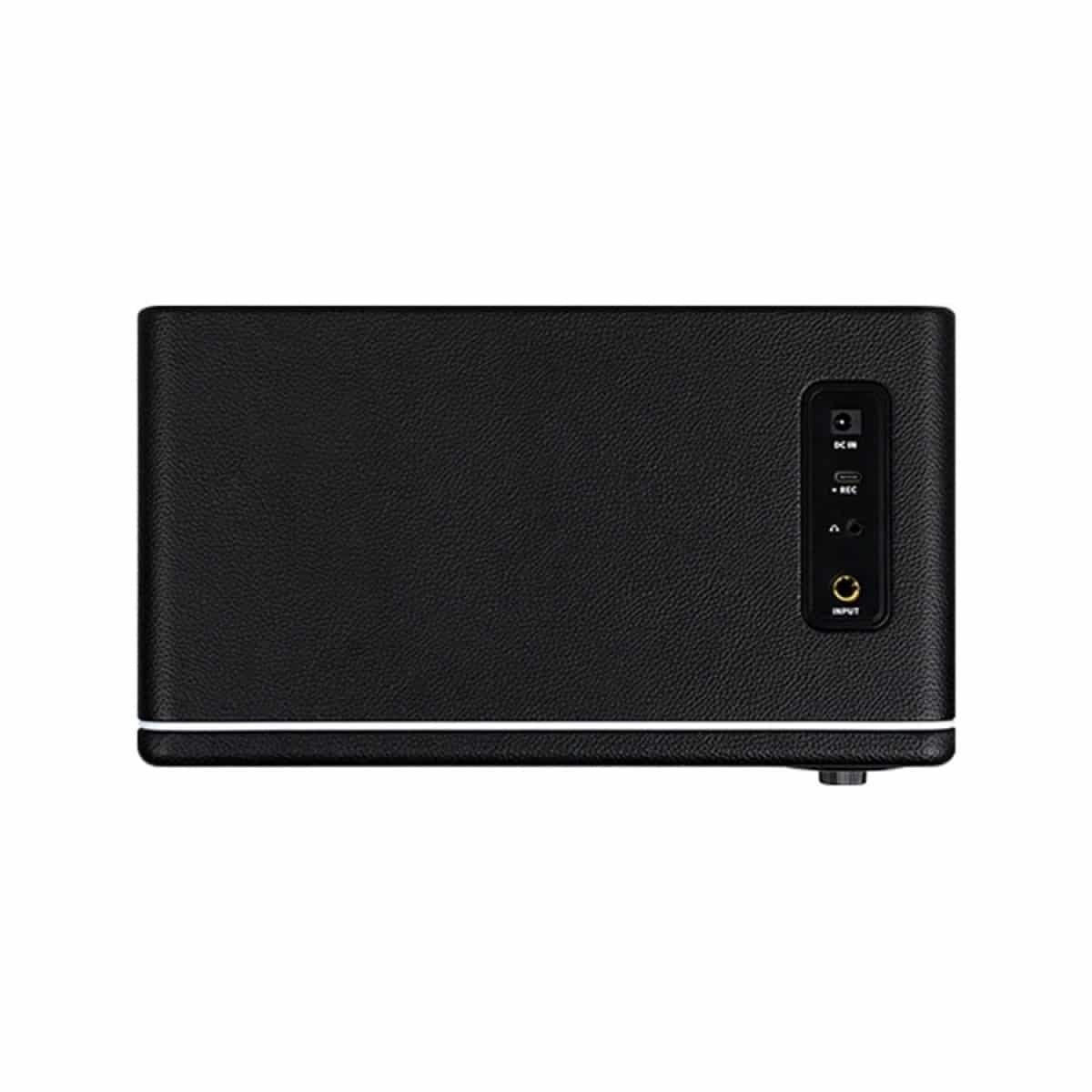 Mooer Hornet 15i Modeling Amp Black
