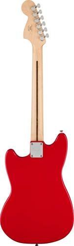 Fender Squier Sonic Mustang Maple WPG Torino Red 373652558