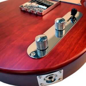 Newen  Frizz Style Electric Guitar Made In Argentina, Red Wood