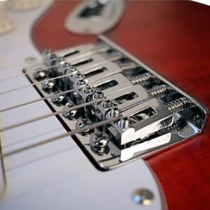 Newen Stratocaster Style Electric Guitar Made In Argentina, Red Wood