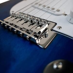 41TtpZ6-dS-1.jpg Newen Stratocaster Style Electric Guitar Made In Argentina, Blue Wood