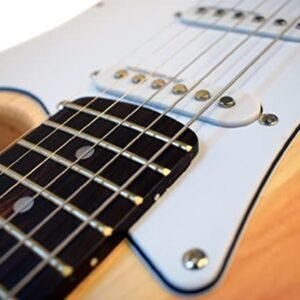 41XFzczExaS-1.jpg Newen Stratocaster Style Electric Guitar Made In Argentina, Natural