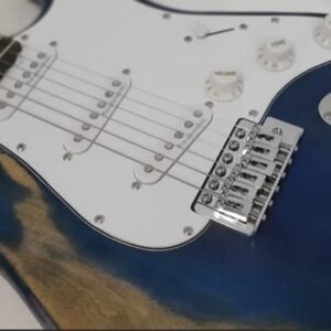 41slSnyIeEL.jpg NEWEN Relic Stratocaster Style Electric Guitar Made in Argentina, White Oak, Blue