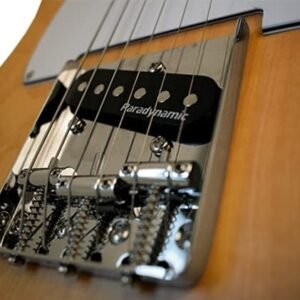 Newen Telecaster Style Electric Guitar Made In Argentina, Natural