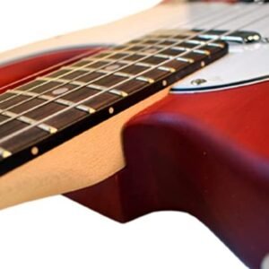 Newen Telecaster Style Electric Guitar Made In Argentina, Red