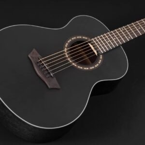 Washburn Apprentice G-Mini 5, Black Matte (AGM5BMK-A)