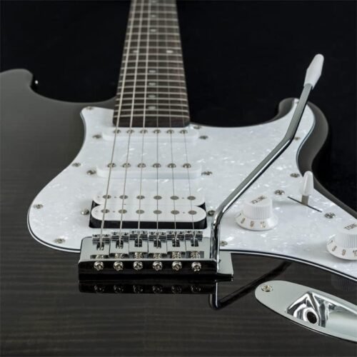 Washburn Sonamaster 6 String Solid-Body Electric Guitar, Right, Transparent Black (SDFTB) Washburn Sonamaster 6 String Solid-Body Electric Guitar, Right, Transparent Black (SDFTB)