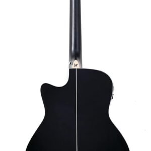 51EcNhVT7OL._AC_SL1500_.jpg Washburn Deep Forest Burl 6 String Acoustic-Electric Guitar, Right, Black Fade (DFBACEB)