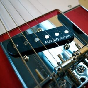 Newen Telecaster Style Electric Guitar Made In Argentina, Red