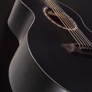 Washburn Apprentice G-Mini 5, Black Matte (AGM5BMK-A)