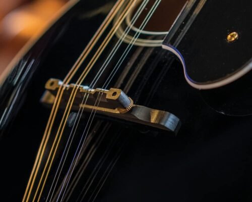 Washburn M1SDLB Americana Series A-Style Mandolin - Black Washburn M1SDLB Americana Series A-Style Mandolin - Black