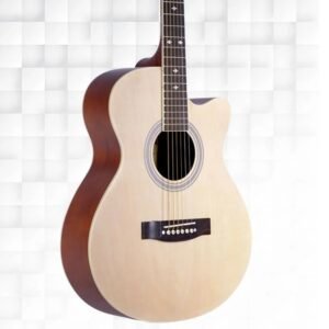 HERTZ GUITAR HZA 4010N