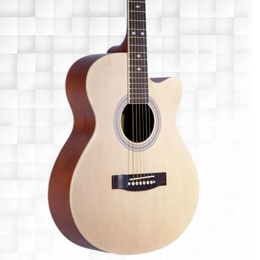HERTZ GUITAR HZA 4010N
