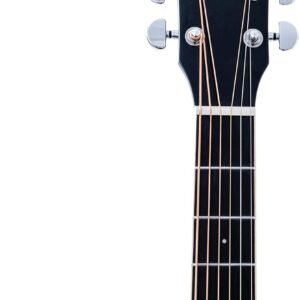 Washburn Deep Forest Burl 6 String Acoustic Guitar, Right, Black Fade (DFBDB)