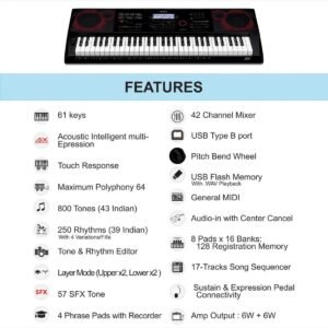 Casio CT-X8000IN Indian Keyboard Black