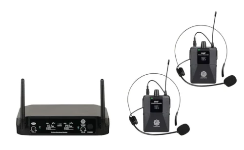 Digimore D 317 2 Channel Wireless Microphone System