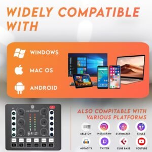 Digimore D 442 Dual Condenser Microphone Kit for Singing with D 220 Sound Card
