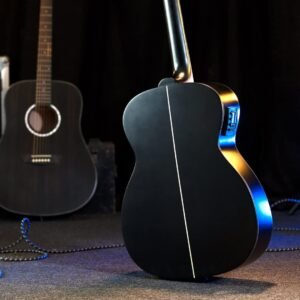 Washburn 6 String Acoustic-Electric Guitar, Right, Striped Ebony (DFEFE)