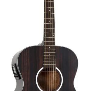 Washburn 6 String Acoustic-Electric Guitar, Right, Striped Ebony (DFEFE)
