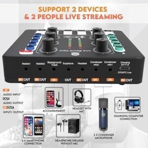 Digimore D 442 Dual Condenser Microphone Kit for Singing with D 220 Sound Card