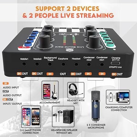 Digimore D 442 Dual Condenser Microphone Kit for Singing with D 220 Sound Card