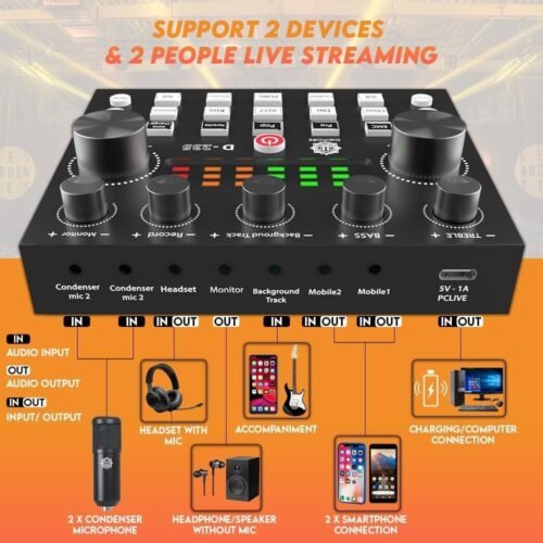 61oxV7kjvkL._SL1000_.jpg Digimore D 432 Dual Condenser Microphone Kit for Singing with V8 Sound Card