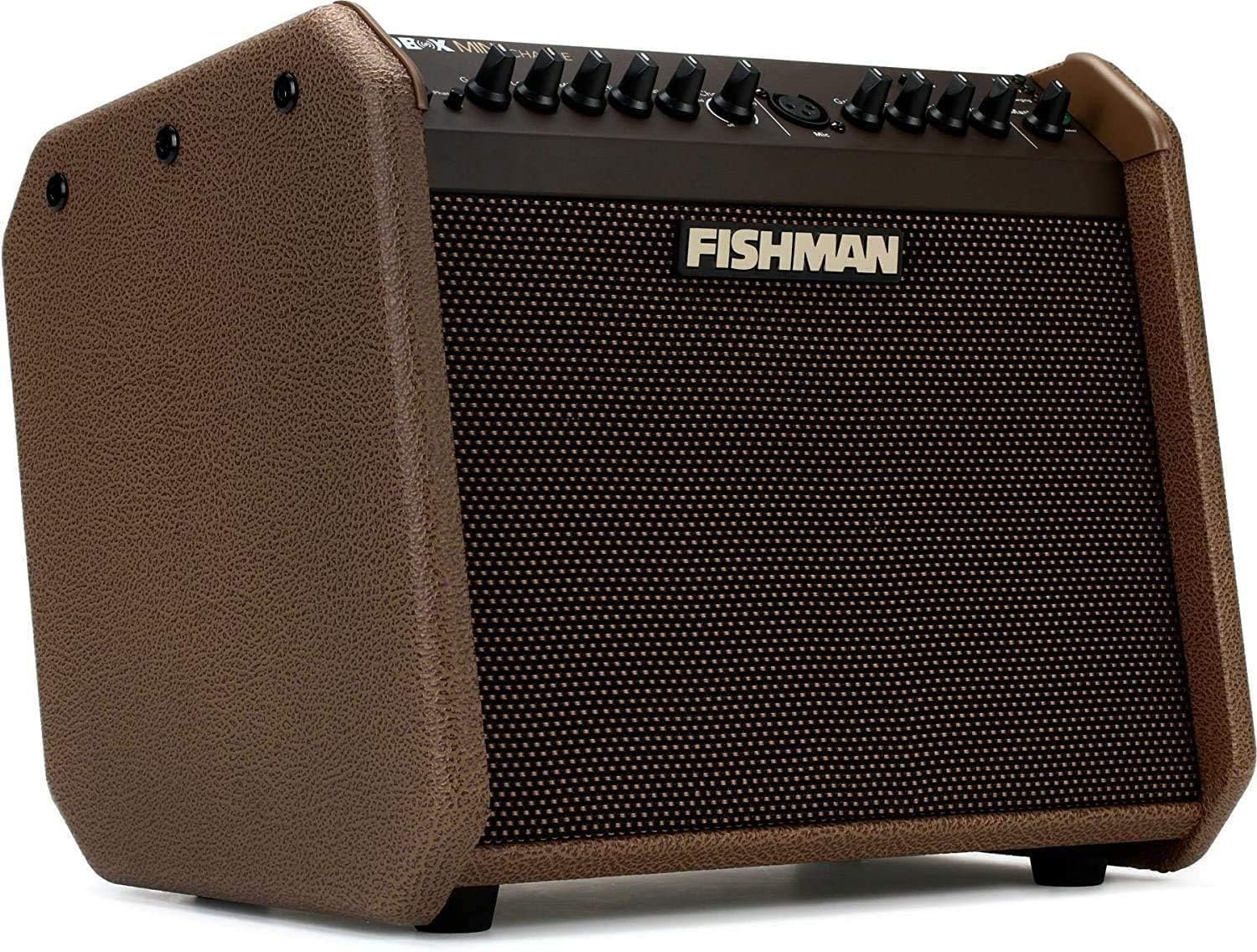 Fishman Loudbox Mini Charge 60-Watt Battery Powered