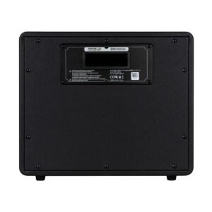 Mooer Hornet 30I Modeling Amp Black