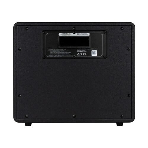 Mooer Hornet 30I Modeling Amp Black