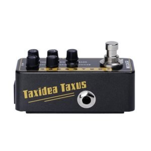 Mooer Taxidea Taxus
