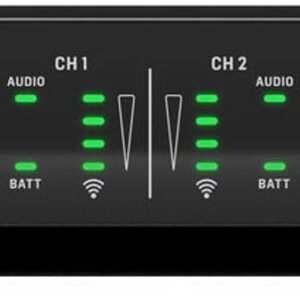 Behringer ULM302MIC Wireless Dual Handheld Microphone System