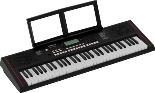 67ee3451d47b8566cbebd0cabb8f73273f078370e17bf0abc05f1.jpg Roland E-X10 Arranger Keyboard 61 Keys