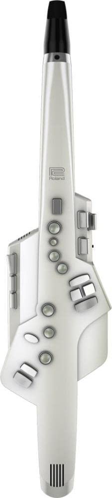 Roland AE-10 Aerophone Digital Wind Instrument